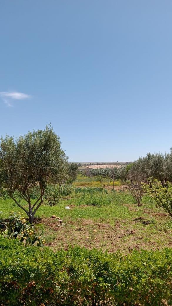 Ferme De Rayan Villa Safi Buitenkant foto